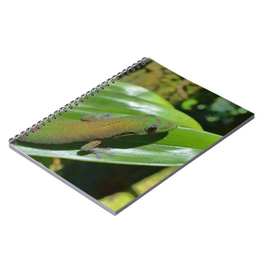 ゲッコ ノートブック (左側)