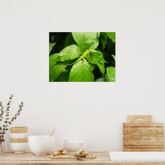 ゲッコ ポスター (キッチン)