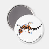 ゲッコ – 磁石 (正面/裏面)