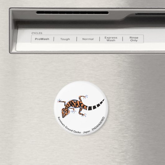 ゲッコ – 磁石 (インサイチュ (食洗機))