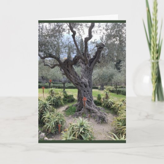 ゲッセマン・コンパシエーション・カード ノートカード (正面)