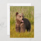 ゲッティイメージ |おもしろいベビー ポストカード (正面/裏面)