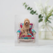 ゲッティイメージ |かわいいゴルデンドール ポストカード (スタンド正面)