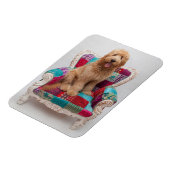 ゲッティイメージ |かわいいゴルデンドール マグネット (左側)