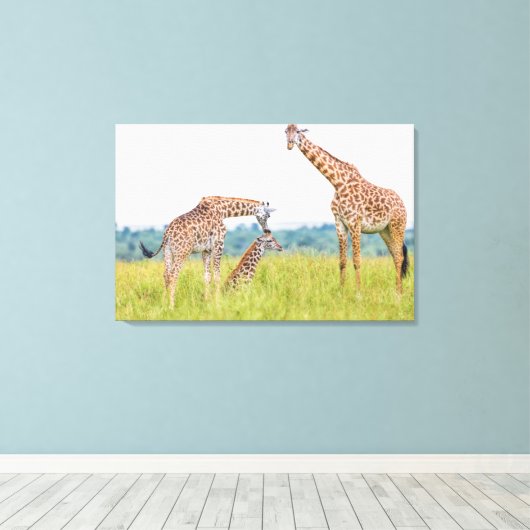 ゲッティイメージ キリン科 キャンバスプリント (インサイチュ (ウッドフロア))
