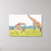 ゲッティイメージ キリン科 キャンバスプリント (正面)