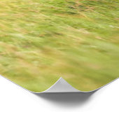 ゲッティイメージ キリン科 ポスター (角)