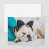 ゲッティイメージ |ネコのヘッドバンドと眠い犬 ポストカード (正面/裏面)