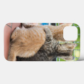ゲッティイメージ |バルコニーの子猫たち Case-Mate iPhoneケース (裏面 (横))