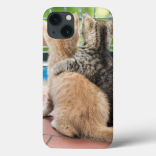 ゲッティイメージ バルコニーの子猫たち iPhone 13ケース