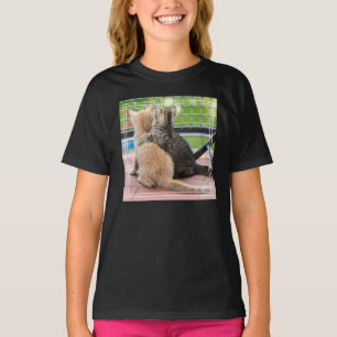 ゲッティイメージ バルコニーの子猫たち Tシャツ