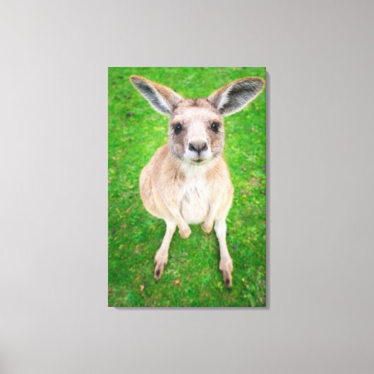 ゲッティイメージ |ベビーカンガルー キャンバスプリント (正面)