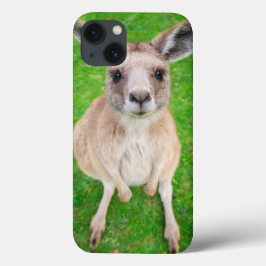 ゲッティイメージ |ベビーカンガルー Case-Mate iPhoneケース (裏面)