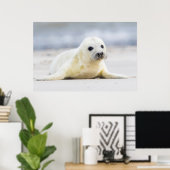 ゲッティイメージ |ベビーシール ポスター (ホームオフィス)