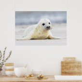 ゲッティイメージ |ベビーシール ポスター (キッチン)