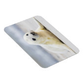 ゲッティイメージ |ベビーシール マグネット (右側)