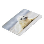 ゲッティイメージ |ベビーシール マグネット (左側)