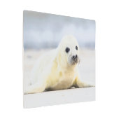 ゲッティイメージ |ベビーシール メタルプリント (アングル)