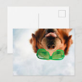 ゲッティイメージ |メガネをかけた犬 ポストカード (正面/裏面)