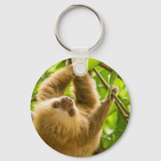 ゲッティイメージ |上下のスロース キーホルダー (正面)