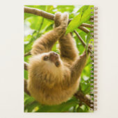 ゲッティイメージ |上下のスロース プランナー手帳 (裏面)