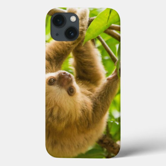 ゲッティイメージ |上下のスロース Case-Mate iPhoneケース (裏面)