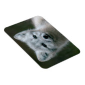 ゲッティイメージ |北極キツネキット マグネット (右側)