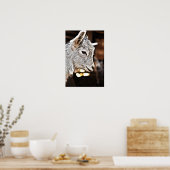 ゲッティイメージ |小ヤギ ポスター (キッチン)