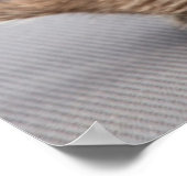 ゲッティイメージ |愛する犬と猫 ポスター (角)