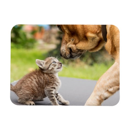 ゲッティイメージ |愛する犬と猫 マグネット (横)