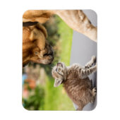 ゲッティイメージ |愛する犬と猫 マグネット (縦)