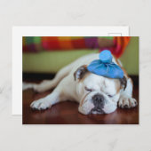ゲッティイメージ |病気の若い子犬 ポストカード (正面/裏面)