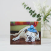 ゲッティイメージ |病気の若い子犬 ポストカード (スタンド正面)