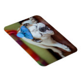 ゲッティイメージ |病気の若い子犬 マグネット (右側)