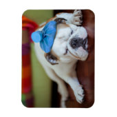 ゲッティイメージ |病気の若い子犬 マグネット (縦)