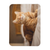 ゲッティイメージ |眠い猫 マグネット (縦)