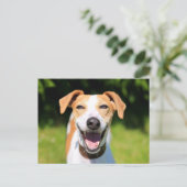ゲッティイメージ |笑う犬 ポストカード (スタンド正面)