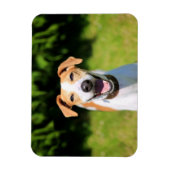 ゲッティイメージ |笑う犬 マグネット (縦)