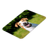 ゲッティイメージ |笑う犬 マグネット (左側)