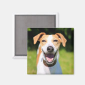 ゲッティイメージ |笑う犬 マグネット (正面/裏面)