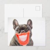 ゲッティイメージ |笑顔の犬 ポストカード (正面/裏面)
