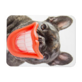 ゲッティイメージ |笑顔の犬 マグネット (横)