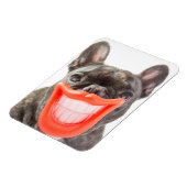 ゲッティイメージ |笑顔の犬 マグネット (左側)