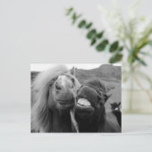 ゲッティイメージ |笑顔の馬 ポストカード (スタンド正面)