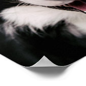 ゲッティイメージ |笑顔縁どのコリー ポスター (角)