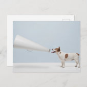 ゲッティイメージ |話の犬 ポストカード (正面/裏面)