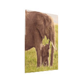 ゲッティイメージ |象とベビー メタルプリント (3/4)