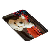 ゲッティイメージ | Puppy On A Sofa マグネット (右側)