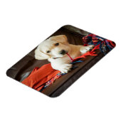 ゲッティイメージ | Puppy On A Sofa マグネット (左側)