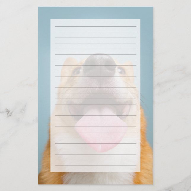 ゲッティイメージ | Very Happy Corgi (正面)